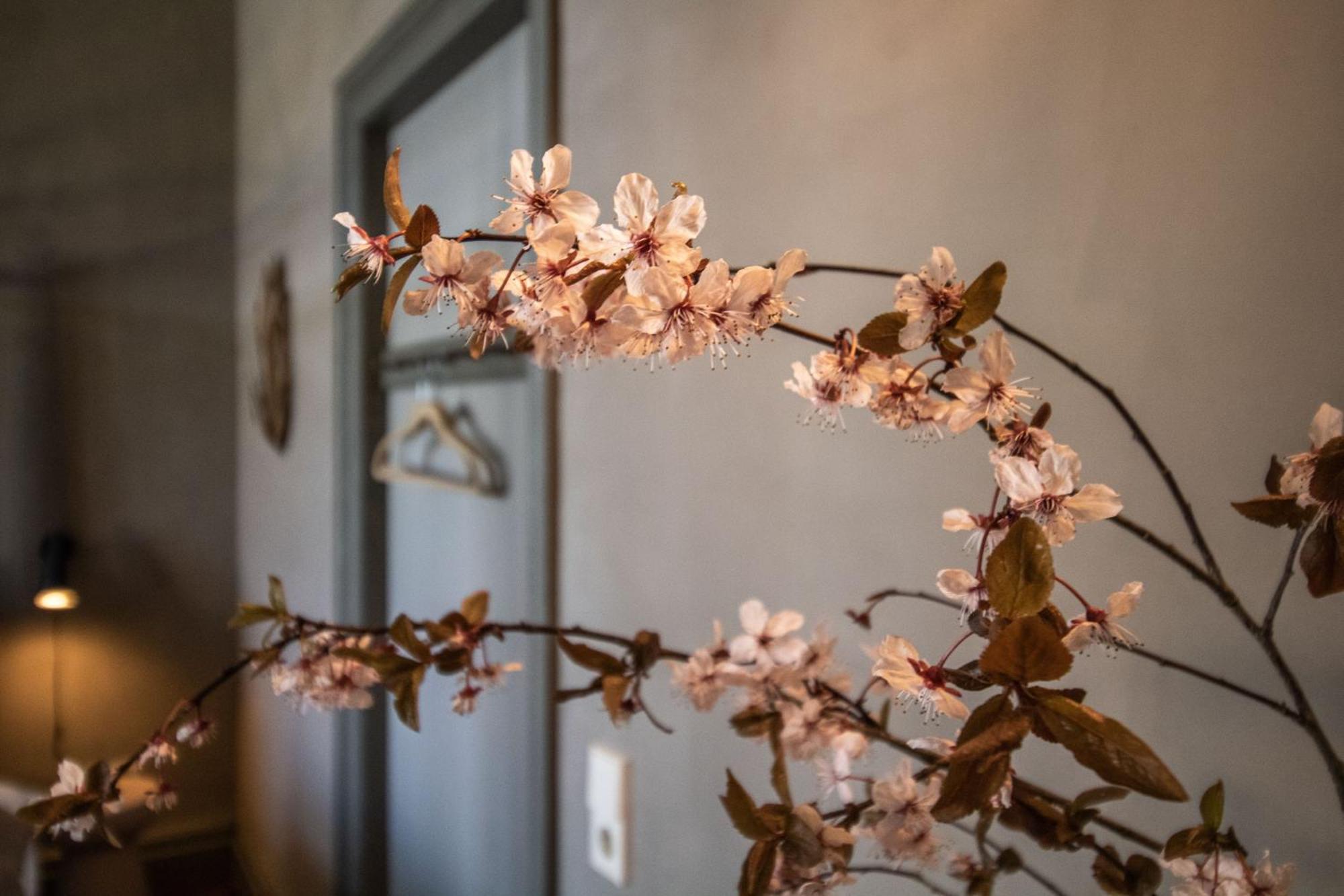 Apartmán Gutshaus Zarchlin Barkhagen Pokoj fotografie